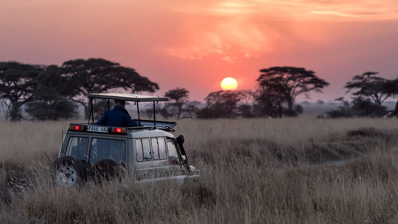 Safari from Colombo