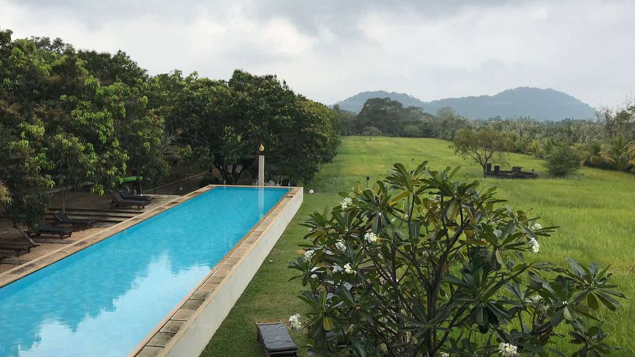 Sigiriana Resort ved Thilanka, Dambulla