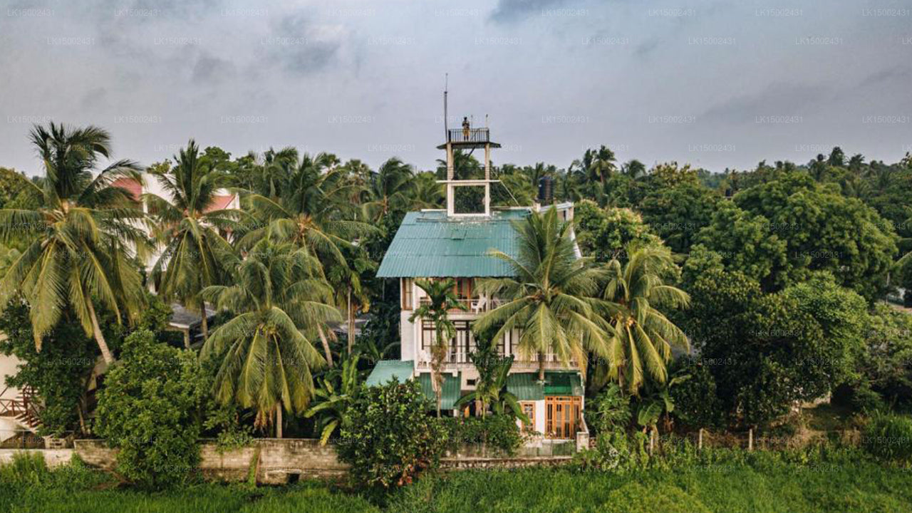 Heaven Upon Rice Fields, Anuradhapura