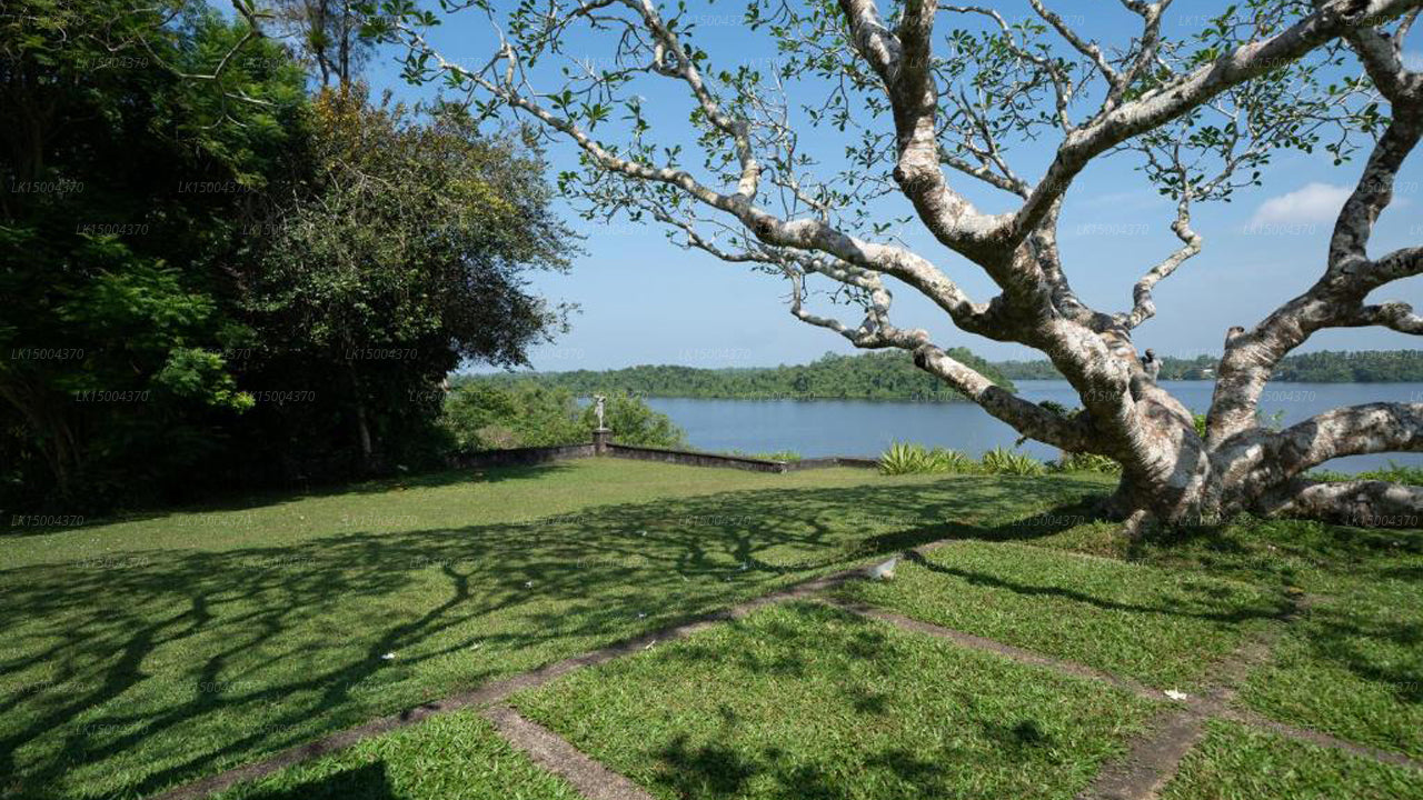 Lunuganga, Bentota