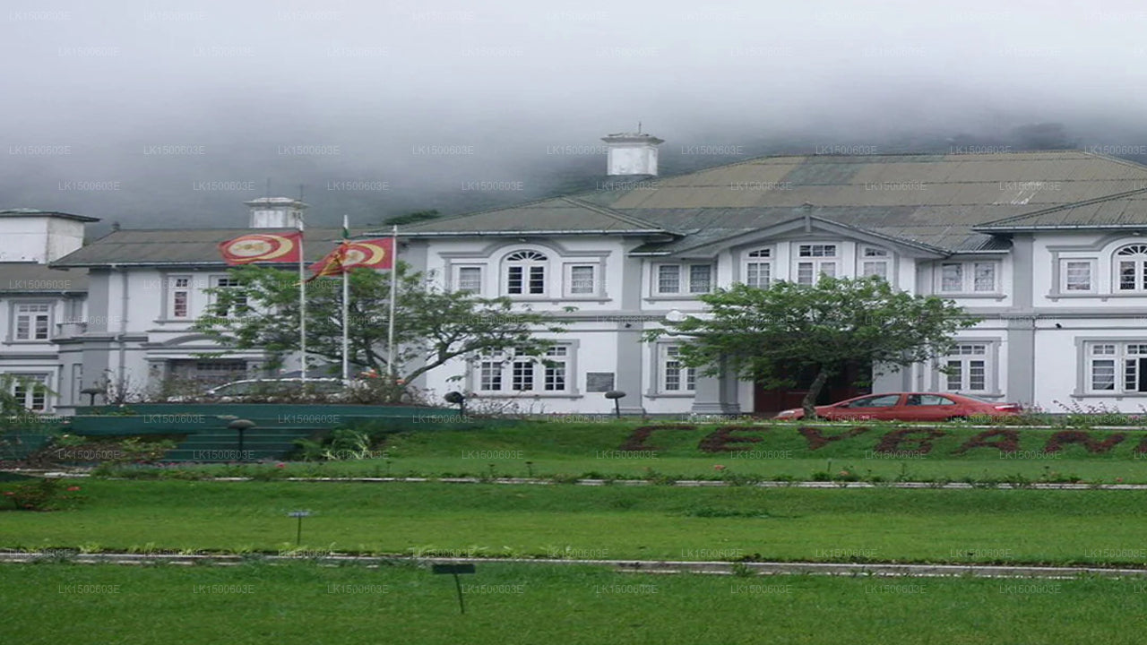 Ceybank Rest, Nuwara Eliya