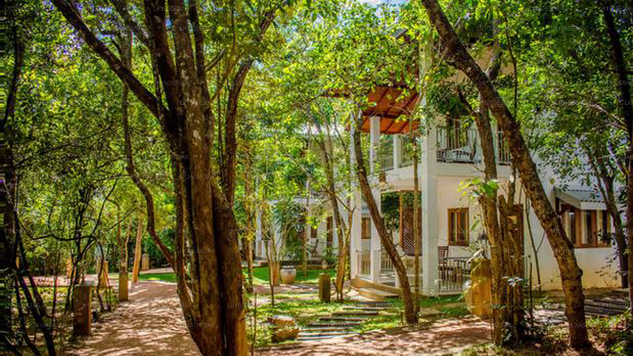 Amaara Forest Hotel, Sigiriya