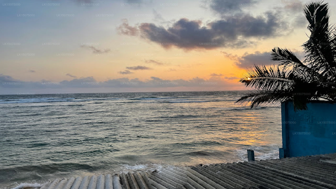 Coral Reef Beach Hotel