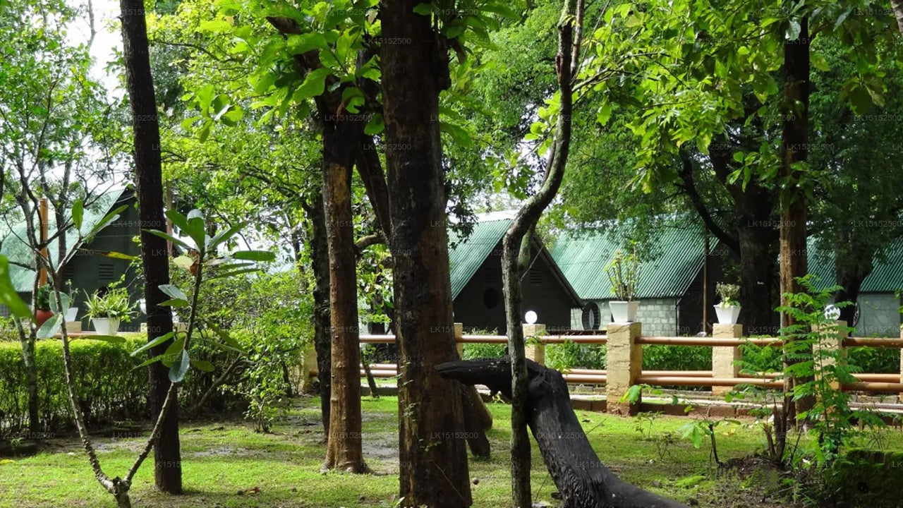 Wasgamuwa Safari Village Hotel, Wasgamuwa