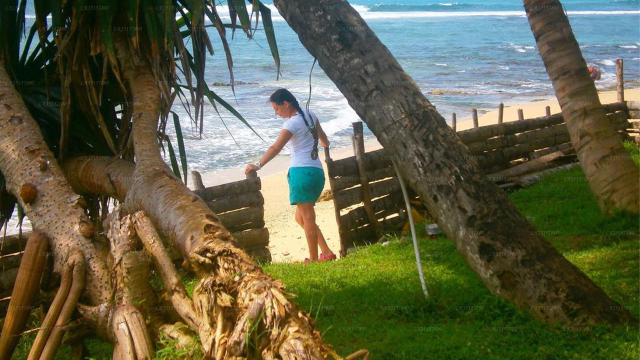 Azure Beach Villa, Ahangama