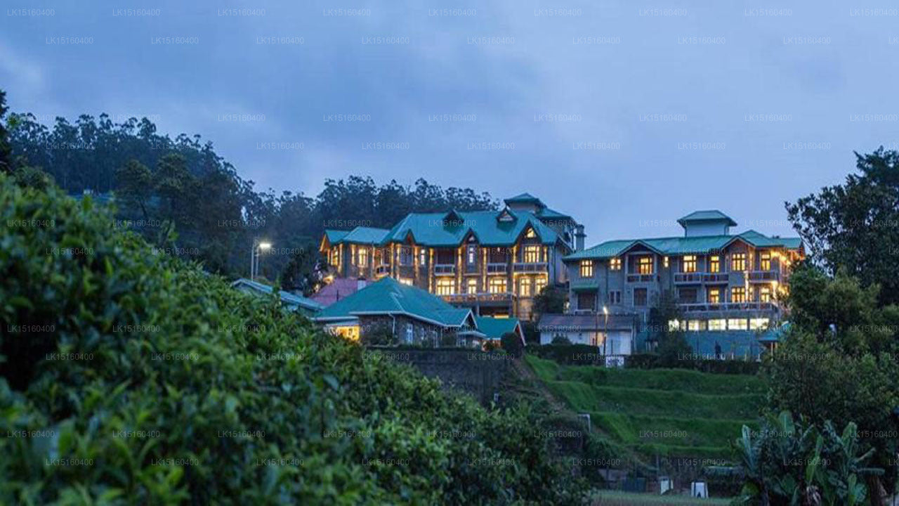 Heaven Seven, Nuwara Eliya