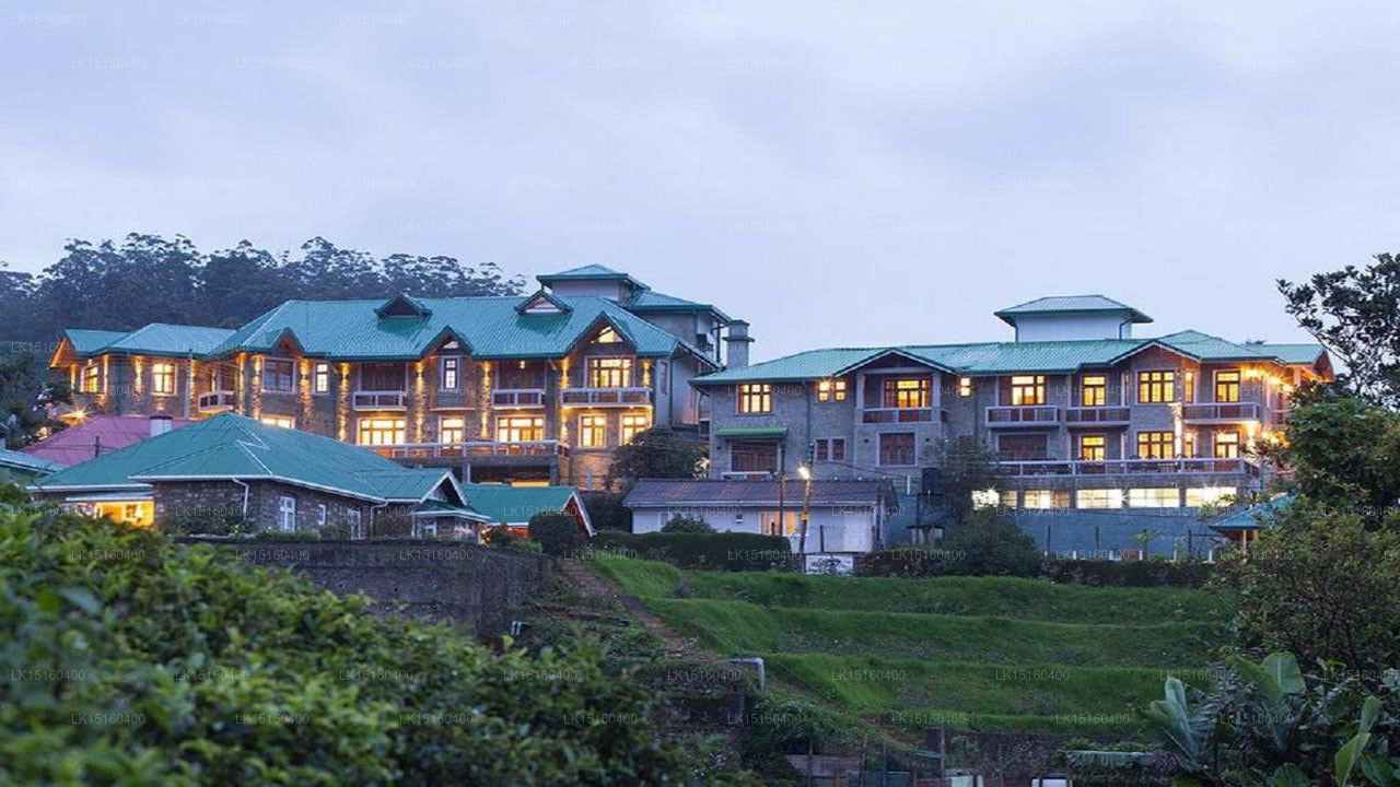 Heaven Seven, Nuwara Eliya