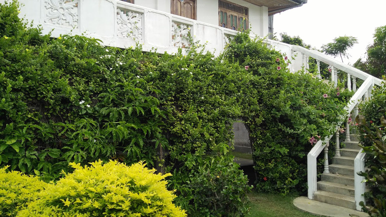 Nilaveli Palm House, Nilaveli