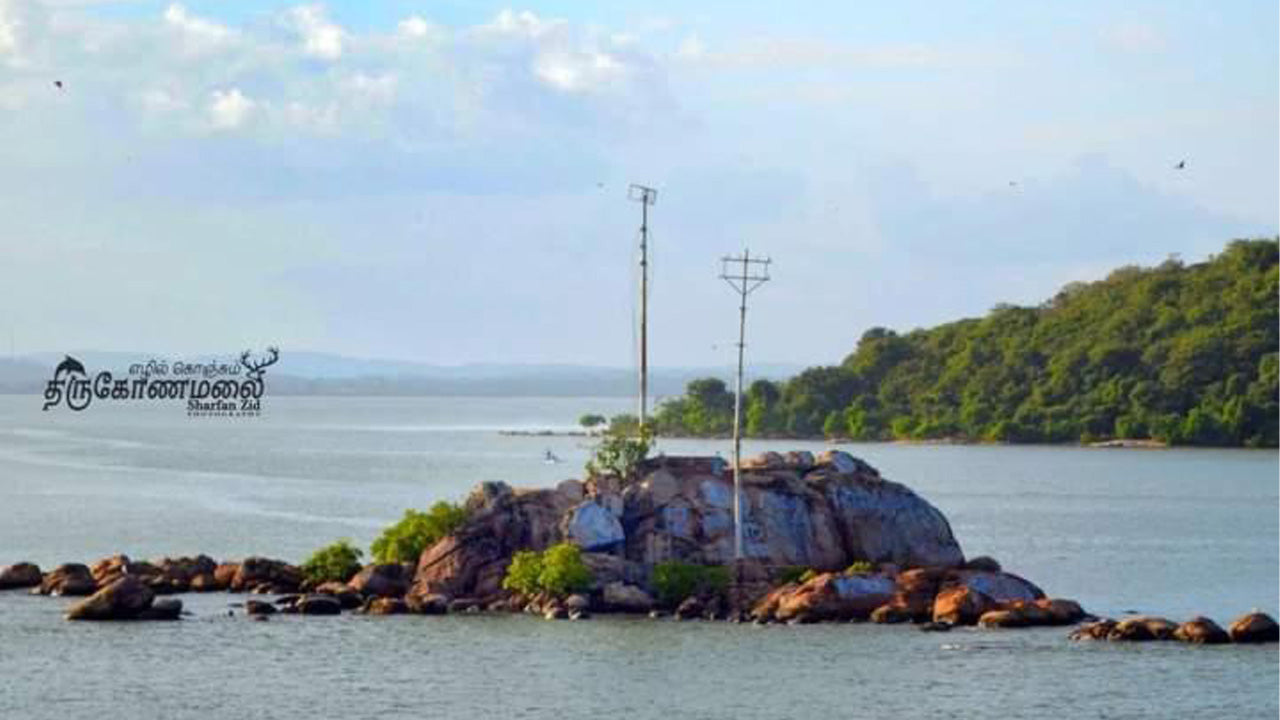 Uppuveli Strandhus, Trincomalee