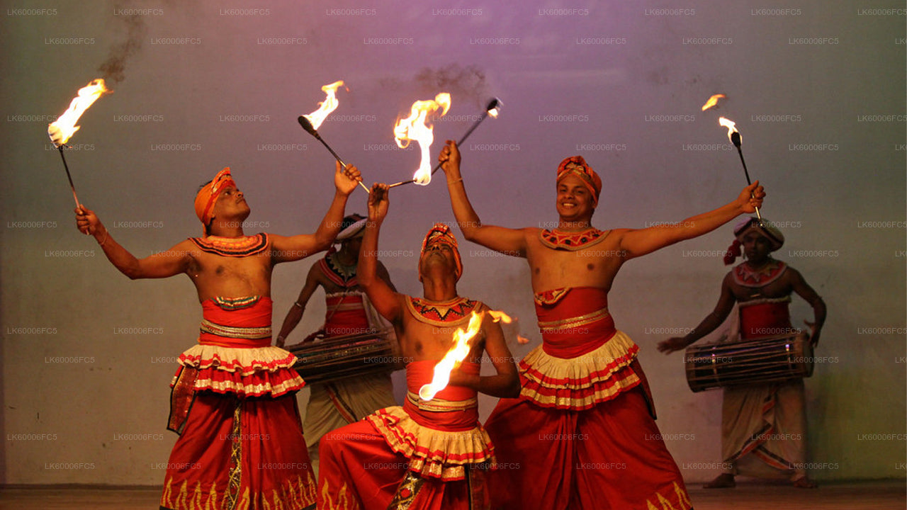 Fire Dancing Experience from Negombo