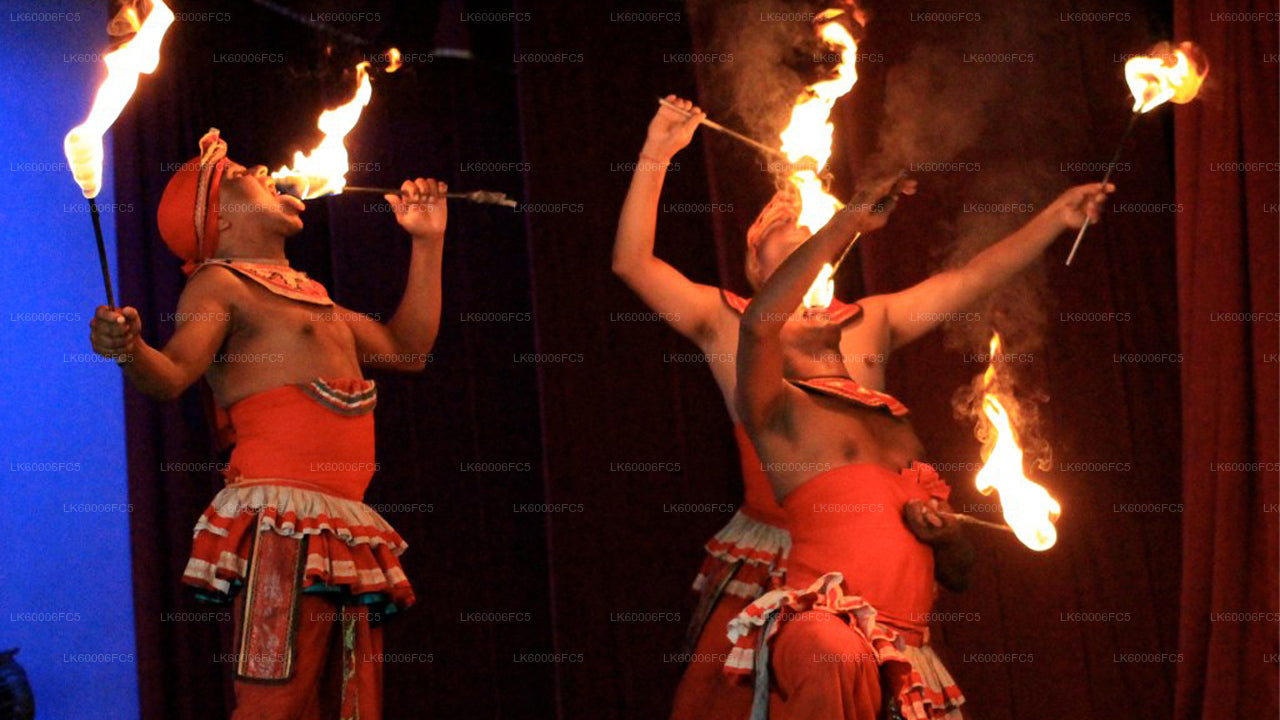 Fire Dancing Experience from Negombo