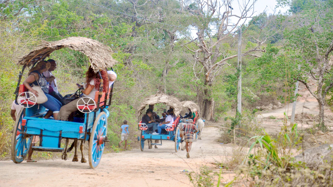 Sigiriya Village Tour og frokost