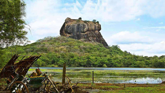 Sigiriya og Dambulla fra Kitulgala