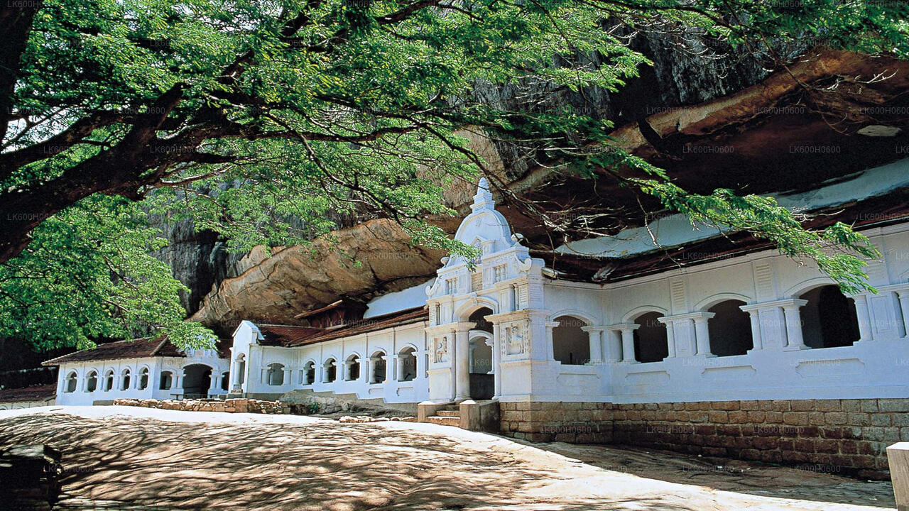 Sigiriya og Dambulla fra Kitulgala