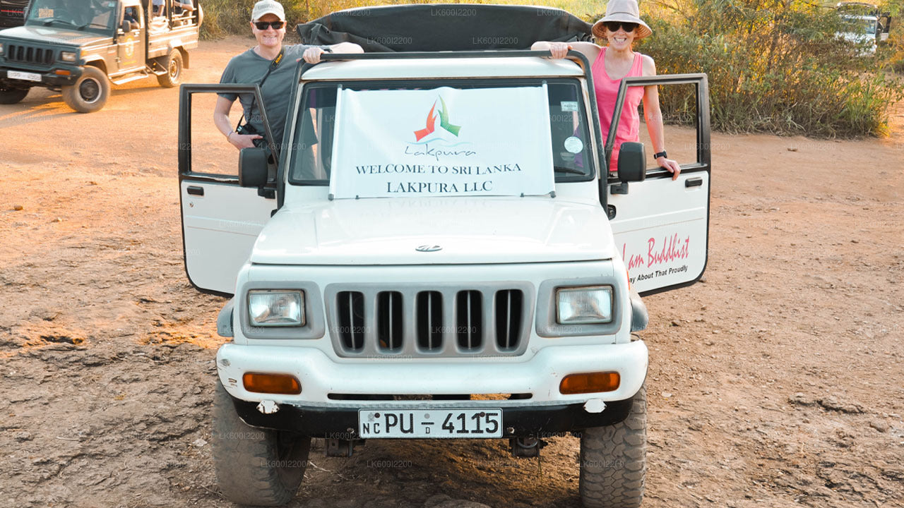 Wilpattu National Park Safari from Dambulla