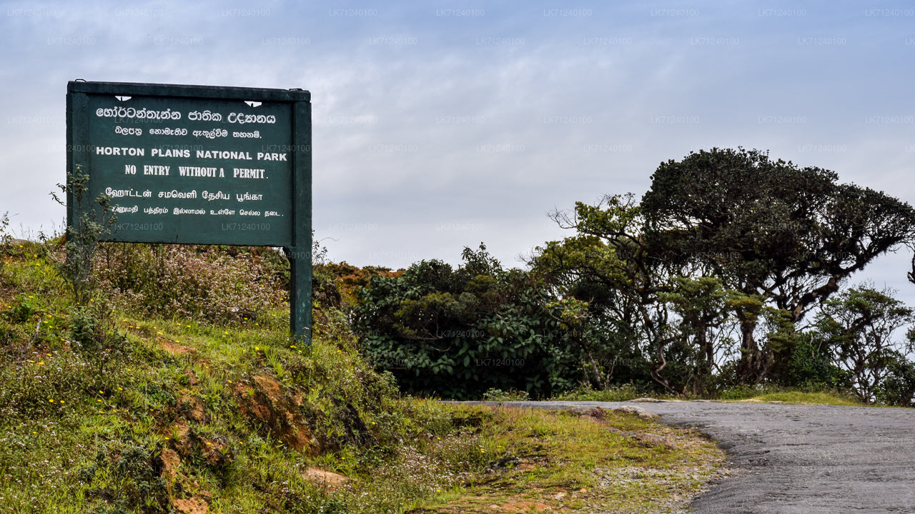 Horton Plains National Park Entrance Ticket