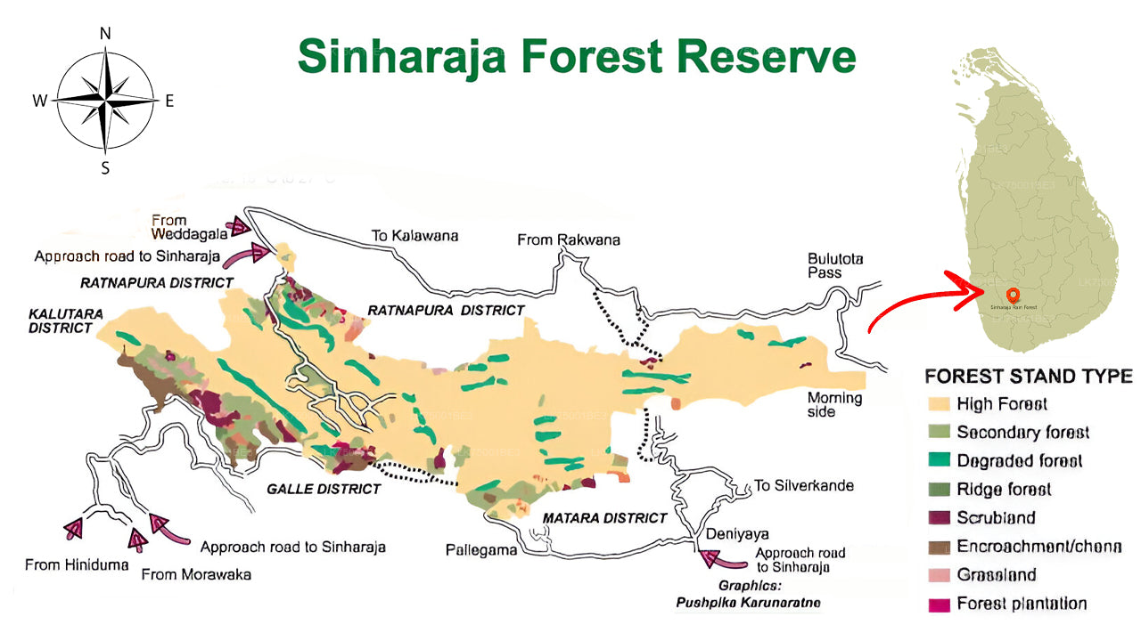 Fuglekikkeri fra Sinharaja Rainforest