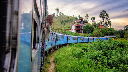 Togbilletreservation fra Kandy til Ella, Nanu Oya, og Badulla