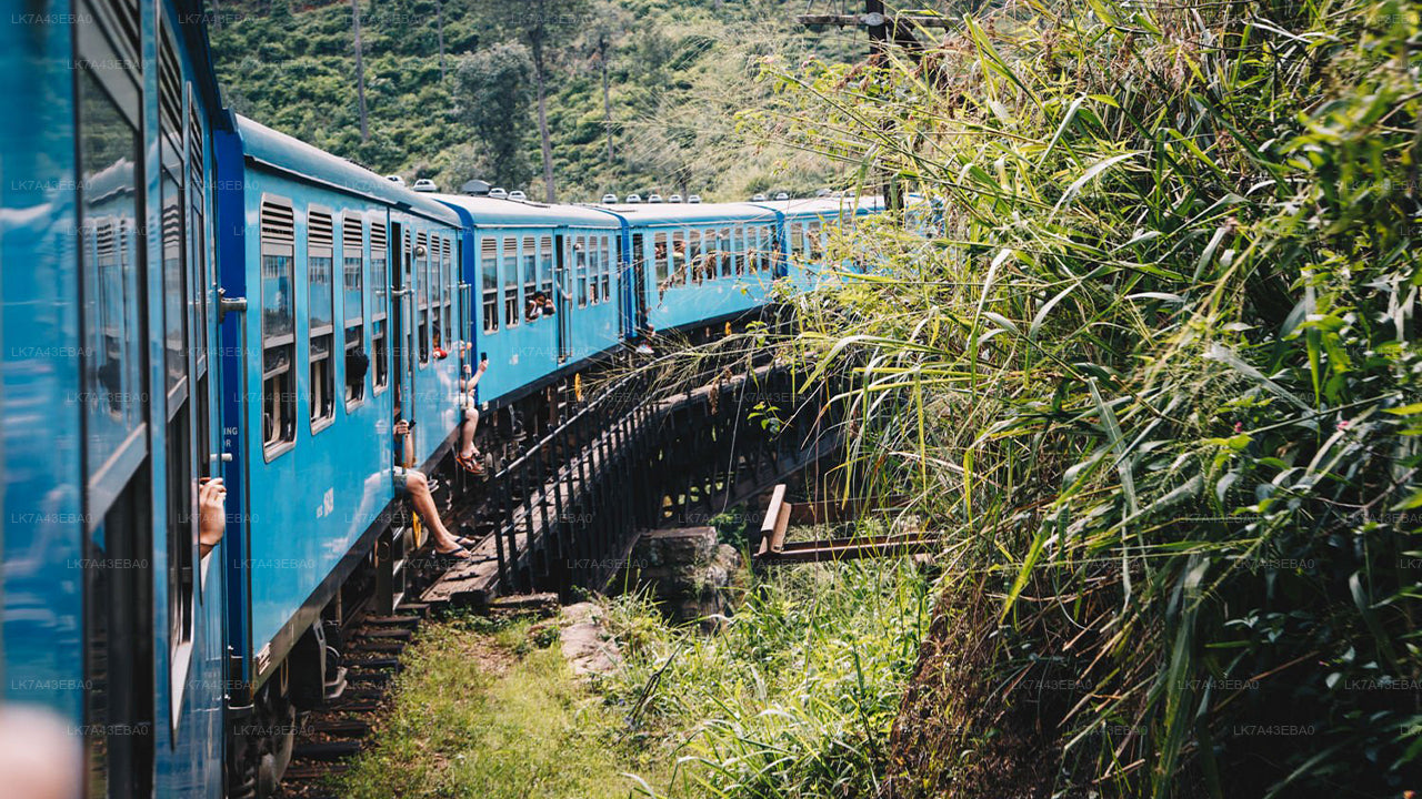 Togbilletreservation fra Kandy til Ella, Nanu Oya, og Badulla