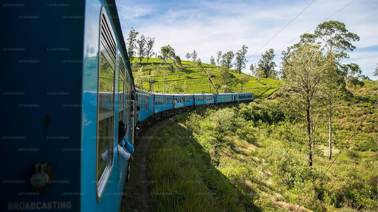 Togbilletreservation fra Kandy til Ella, Nanu Oya, og Badulla