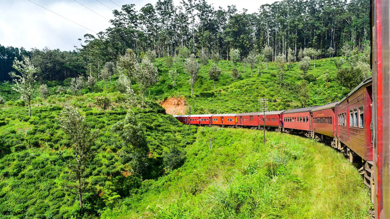 Togbilletreservation fra Kandy til Ella, Nanu Oya, og Badulla