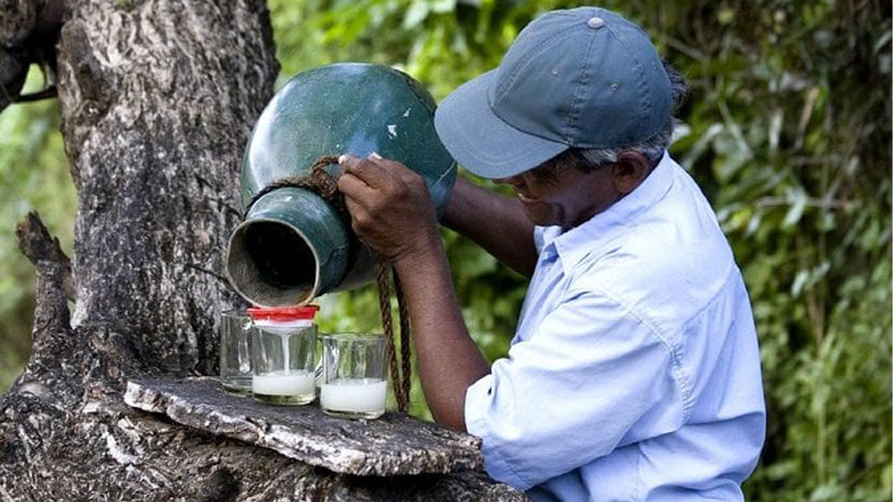 Toddy Exploring Tour from Negombo