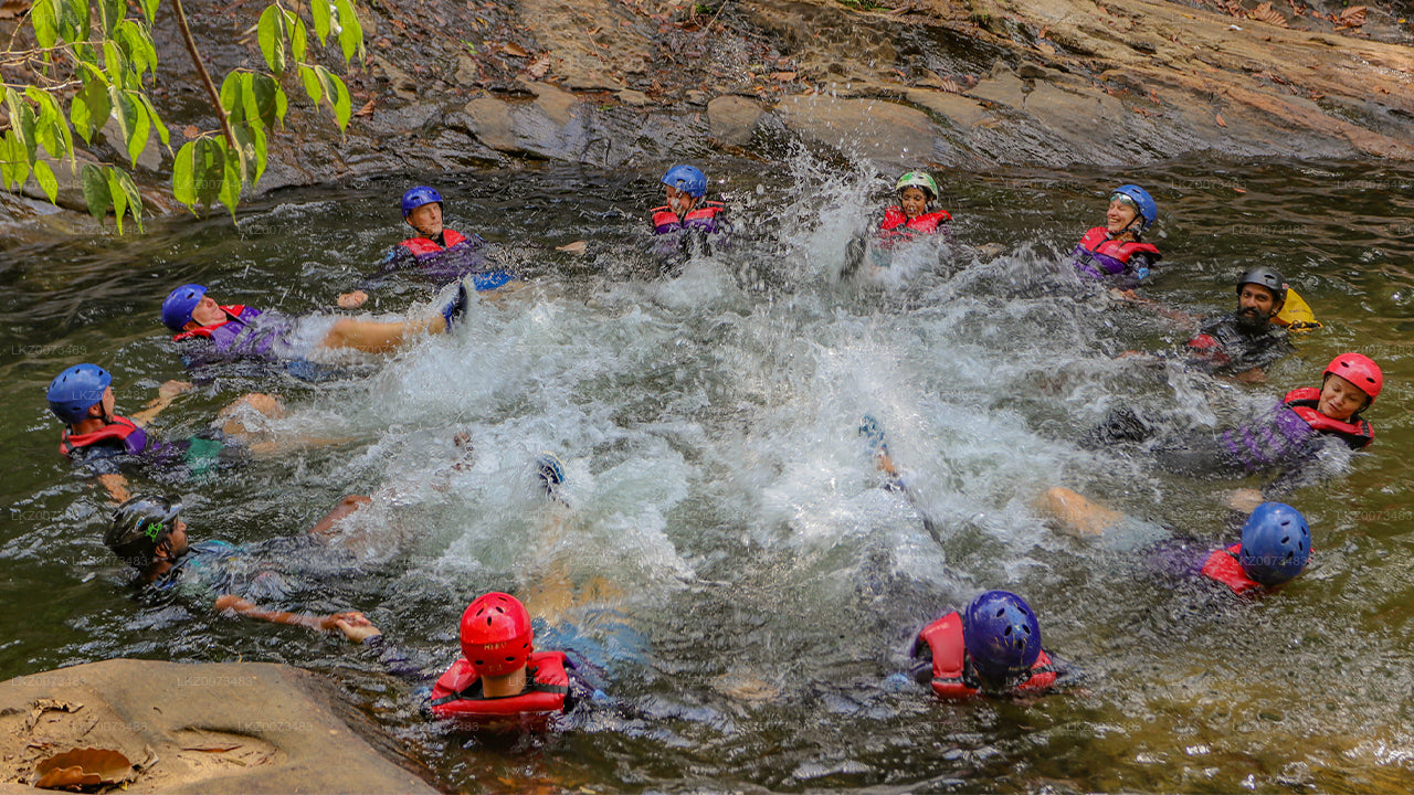 Avanceret Canyoning fra Kitulgala