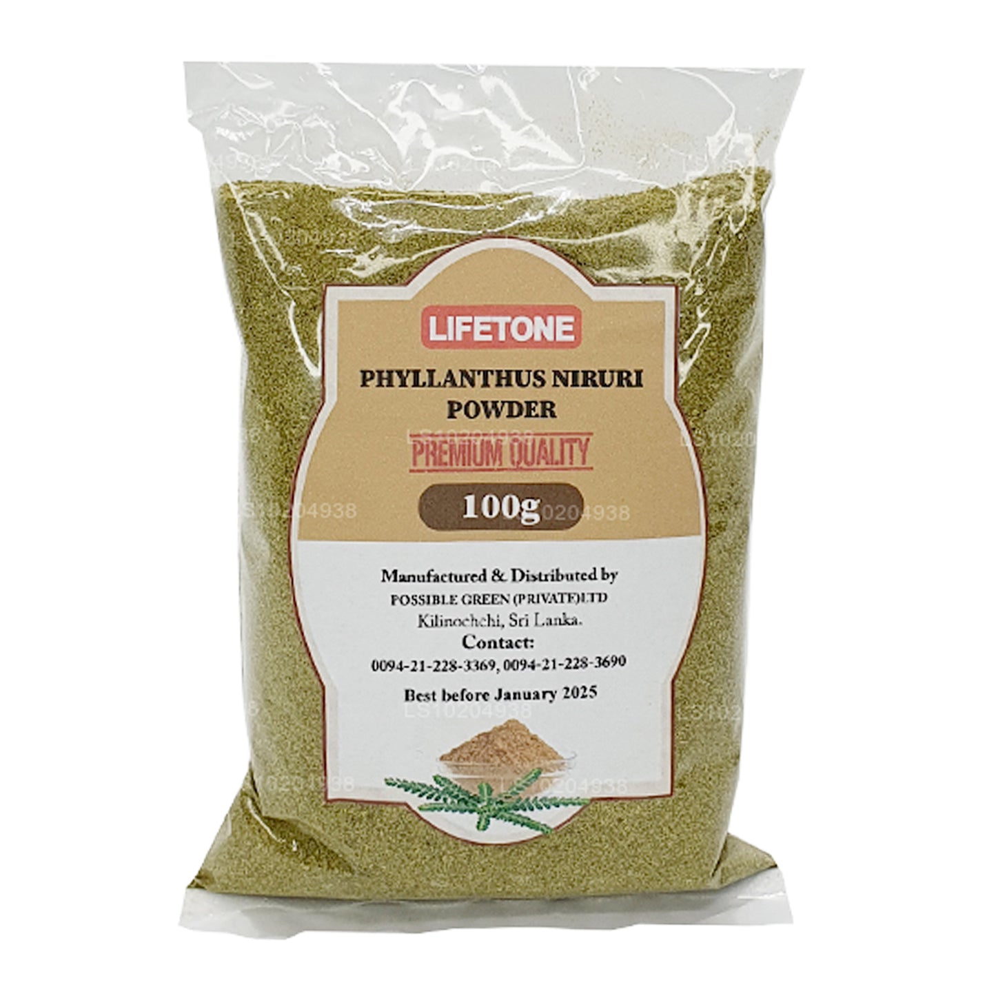 Lifetone Phylanthus Niruri pulver (100 g)