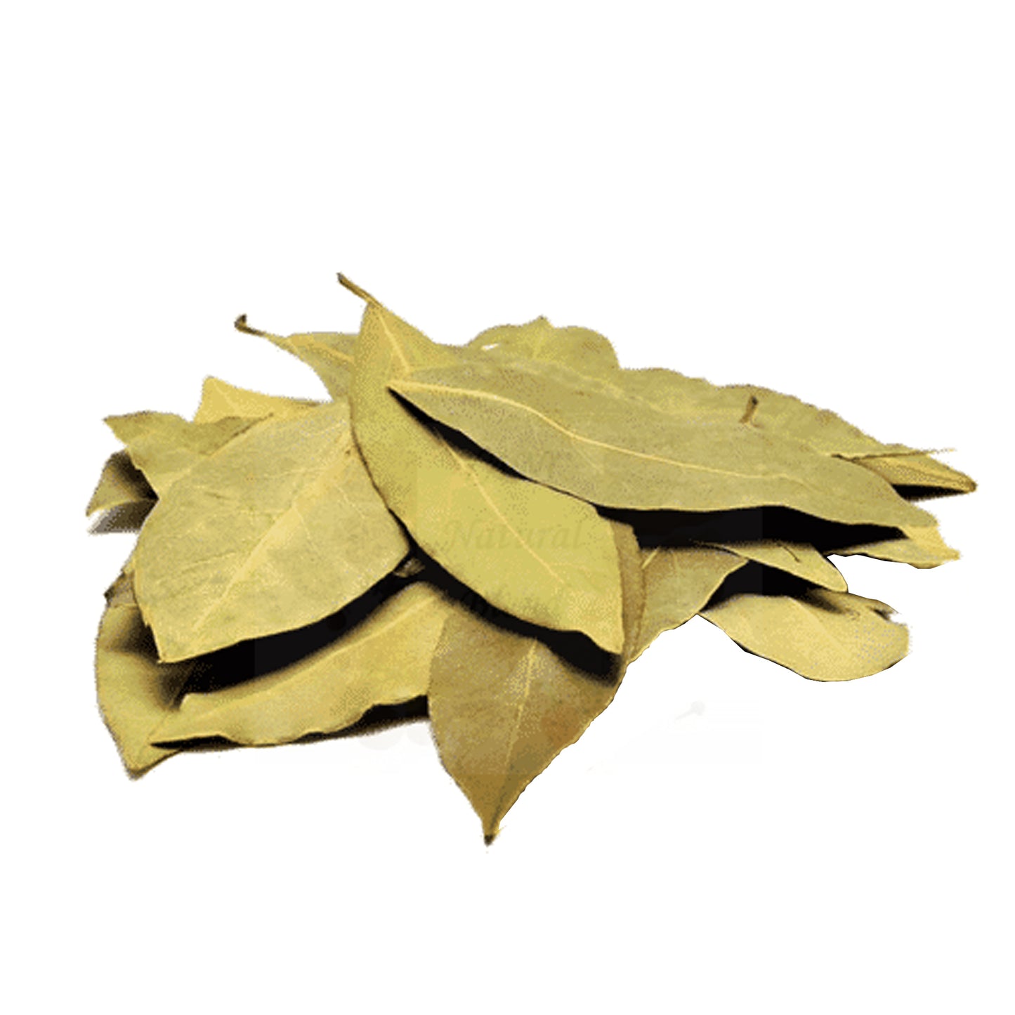 Lakpura Bay Leaves Whole