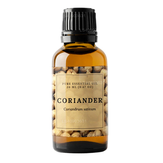 Lakpura koriander æterisk olie (20 ml)
