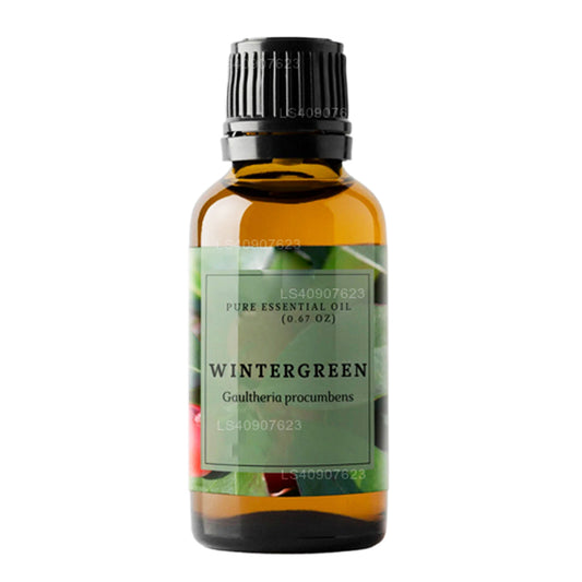 Lakpura vintergrøn æterisk olie (15 ml)