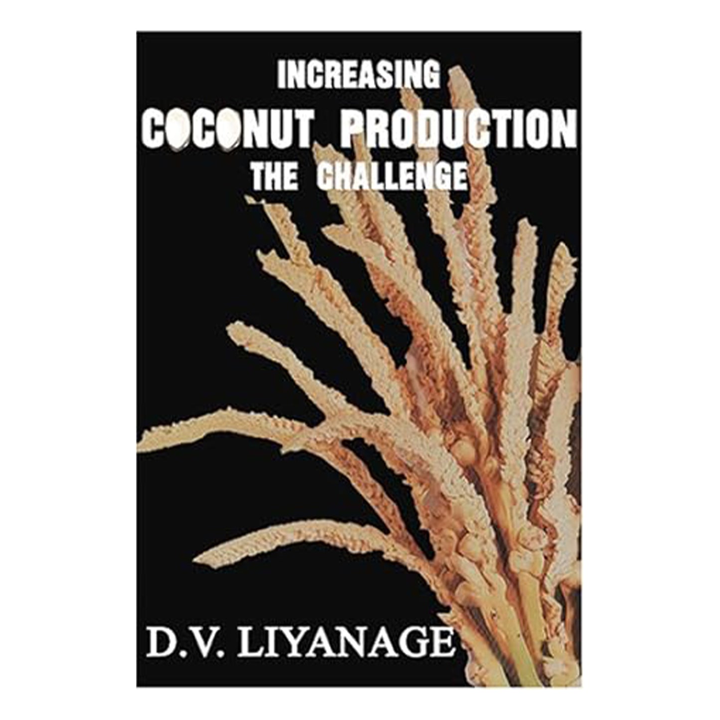 Øget Cocunut-produktion