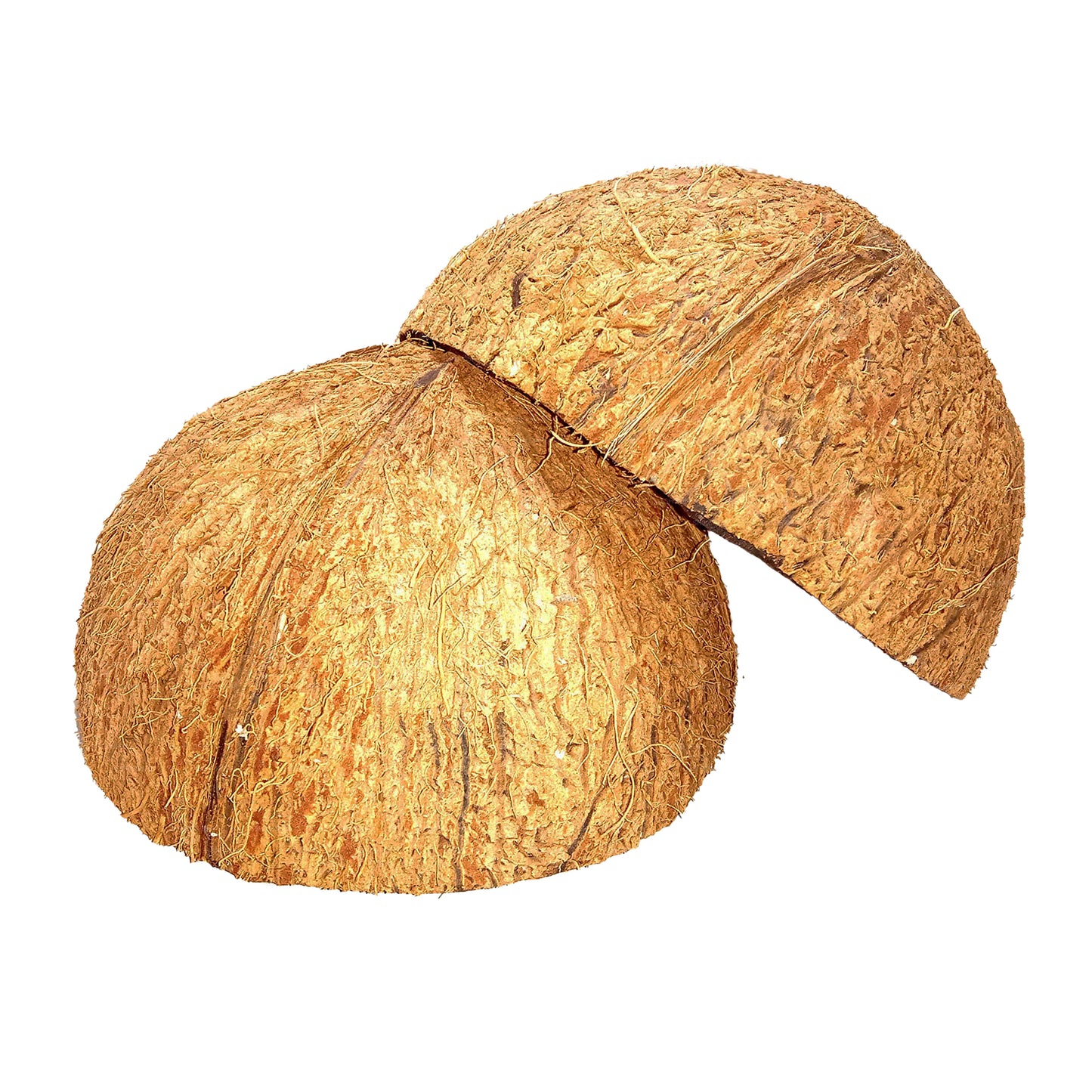 Coconut Shell Halves (2 stk)