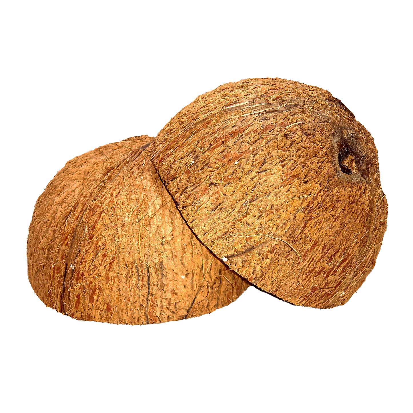 Coconut Shell Halves (2 stk)