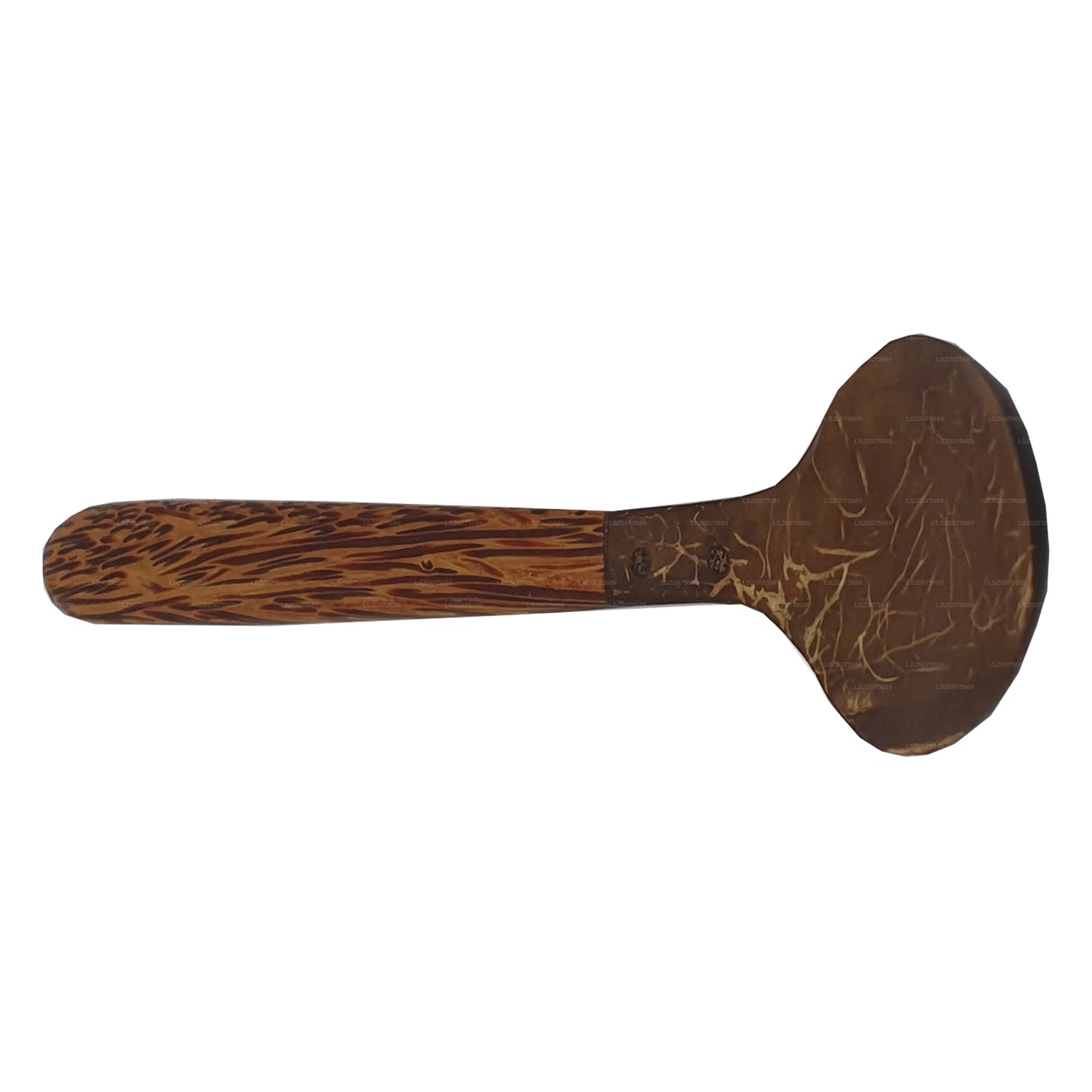 Spoon Kokos Shell Bestik (14cm)