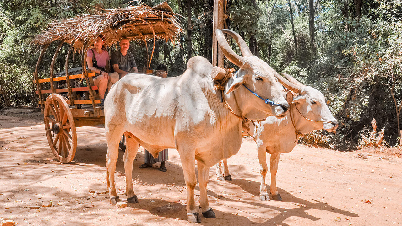 Wildlife og World Heritage Tour fra Galle (2 Dage)