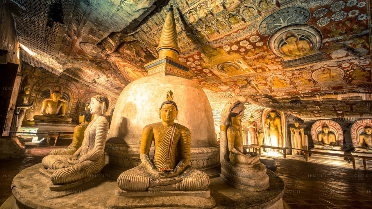 Anuradhapura fra Kandy (2 Dage)