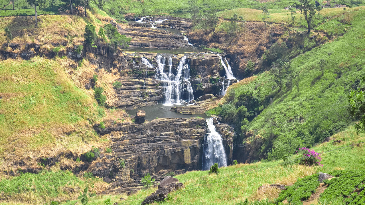 Nuwara Eliya fra Negombo (2 Dage)