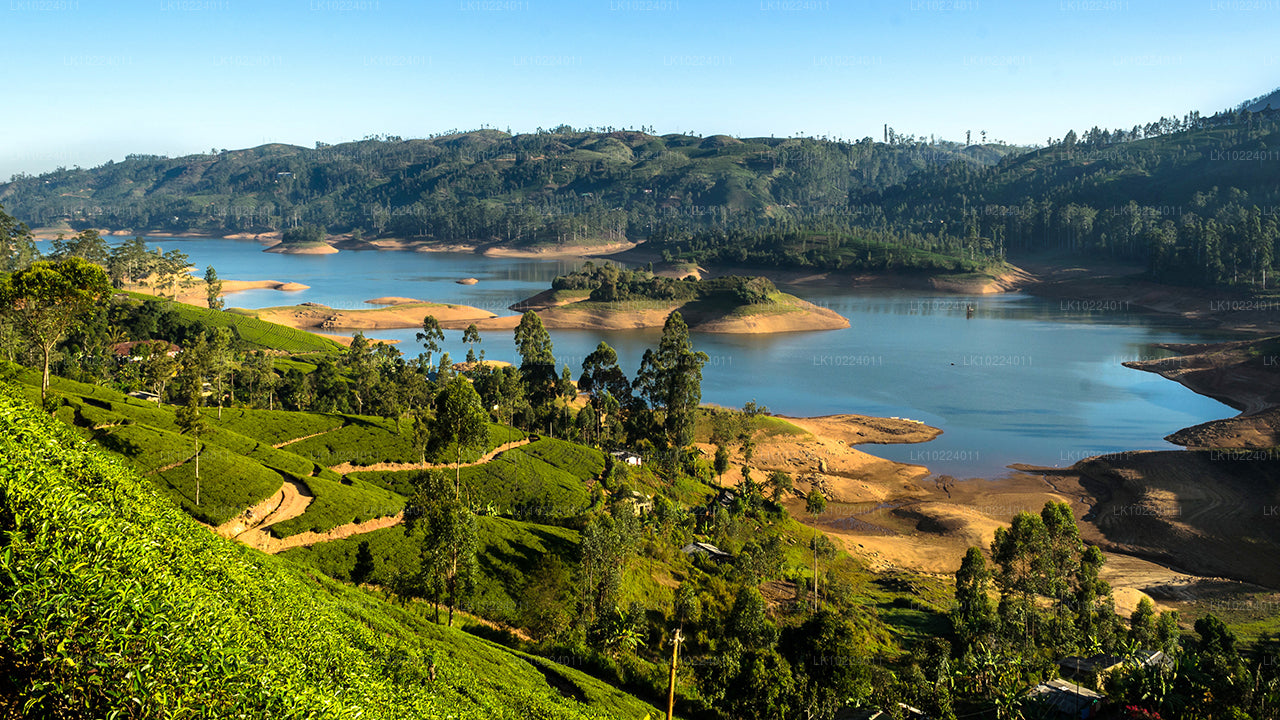 Nuwara Eliya fra Negombo (2 Dage)