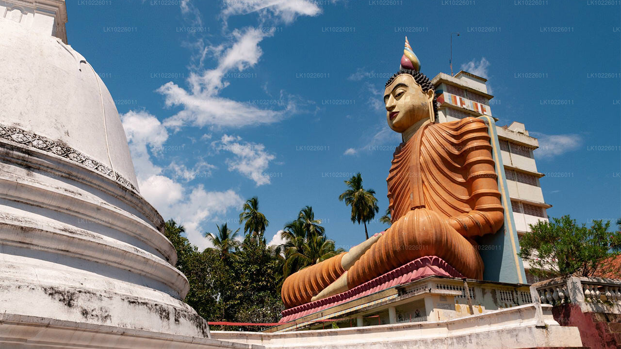 Templer og vildmark fra Negombo (2 Dage)