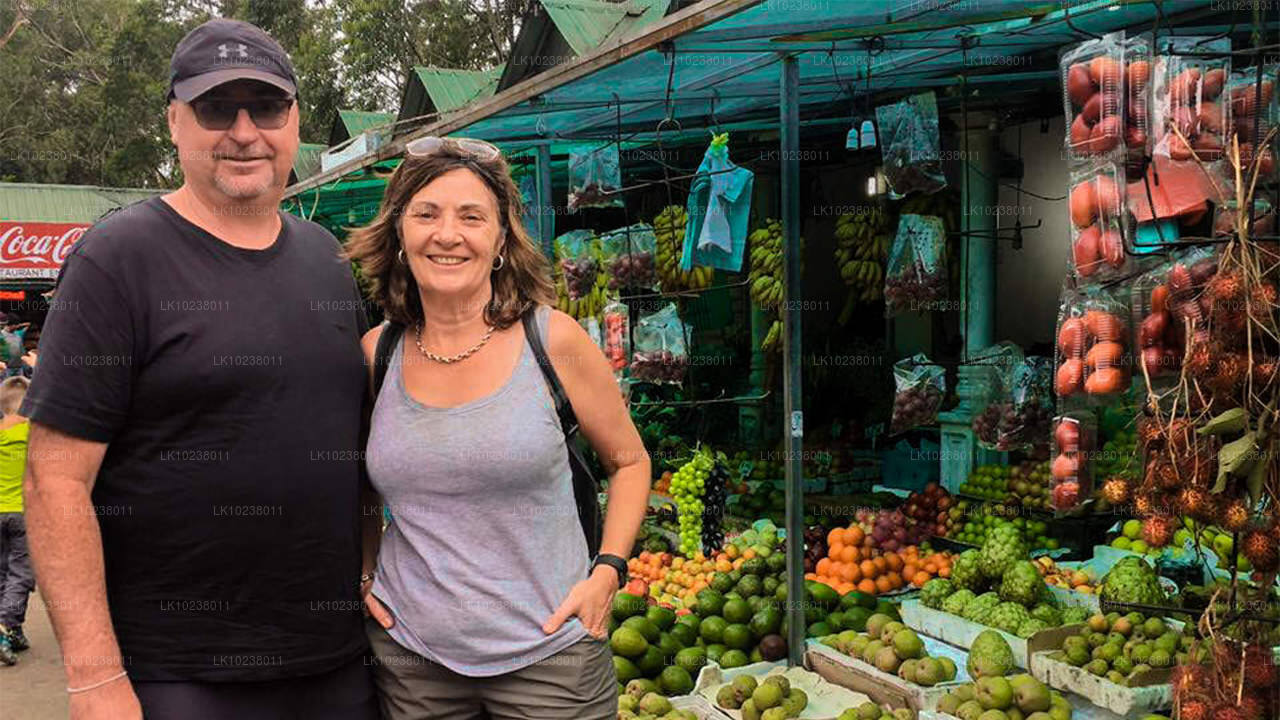 Kultur af bakkerne Tour fra Hikkaduwa (2 Dage)