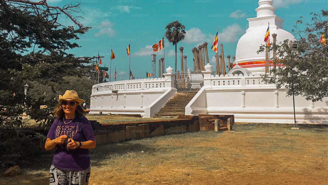 Sacred City of Anuradhapura fra Colombo (3 Dage)