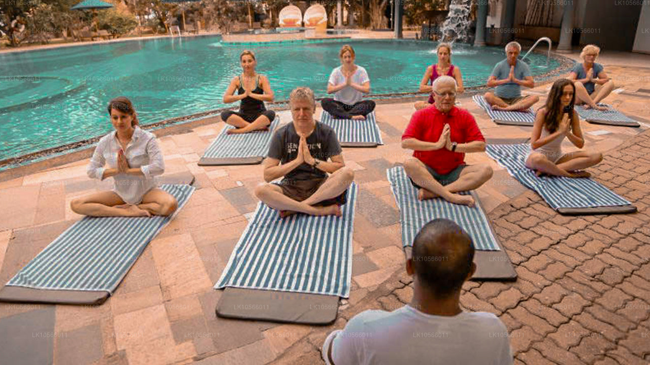 Meditation og Yoga Tour (5 Dage)