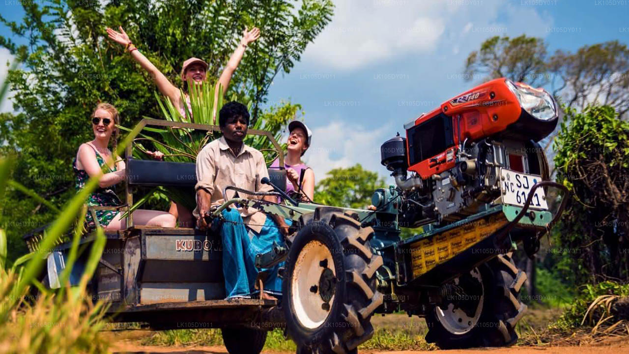 Agro Tour i Sri Lanka (6 Dage)