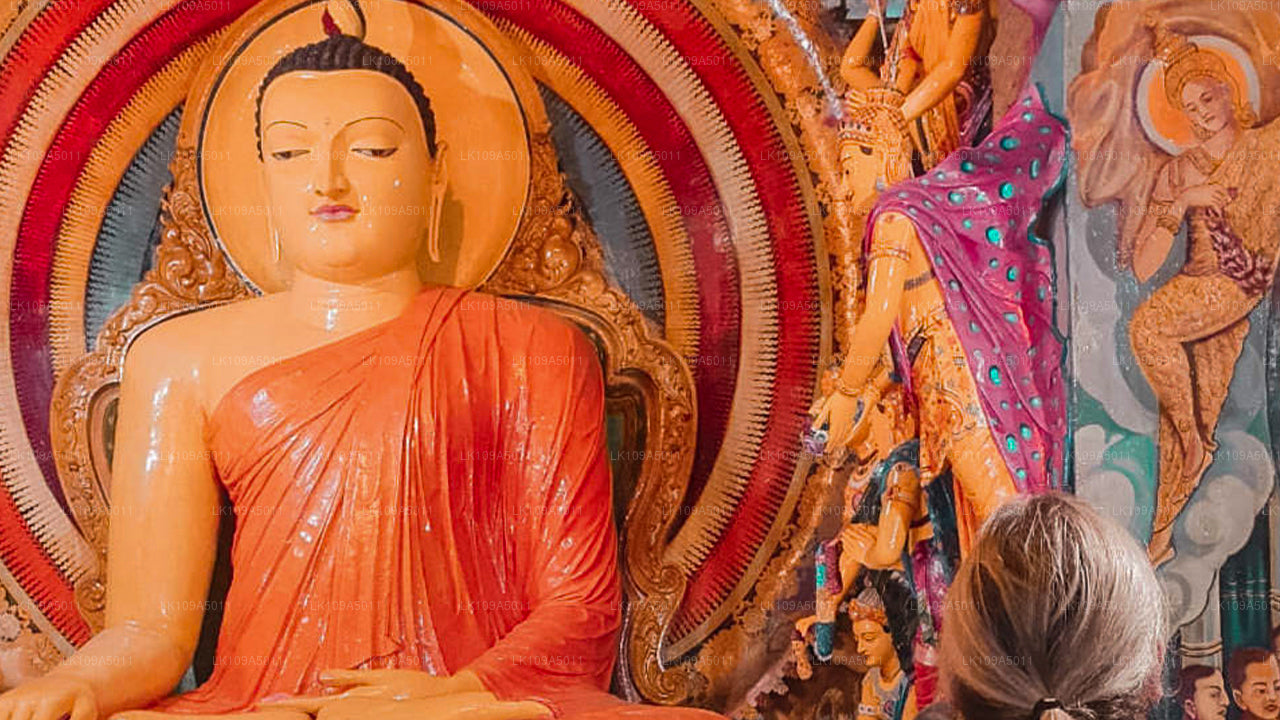 Buddhistisk pilgrimsrejse Tour (9 Dage)