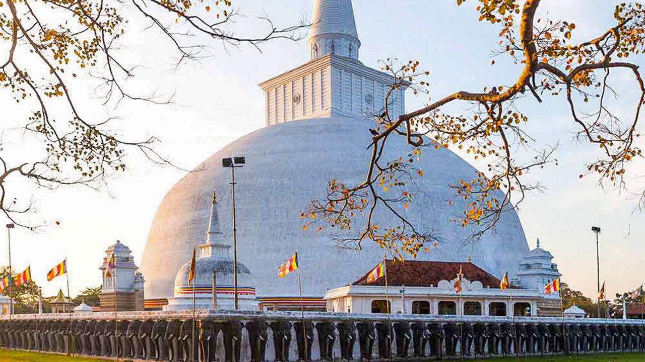 Buddhistisk pilgrimsrejse Tour (13 dage)