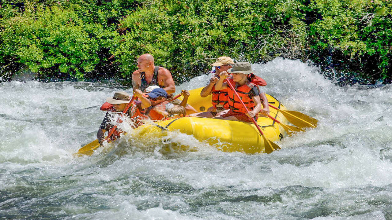 White Water Rafting for Beginners from Kitulgala