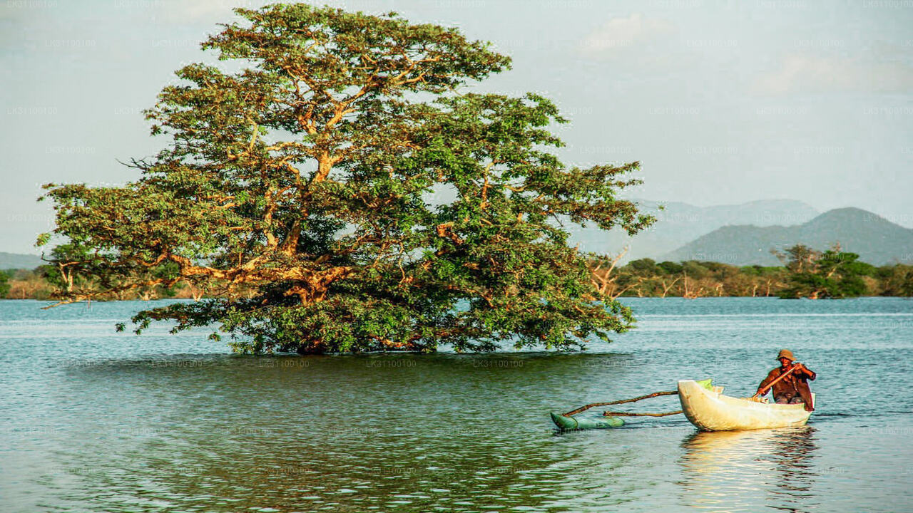 Kayaking from Kitulgala