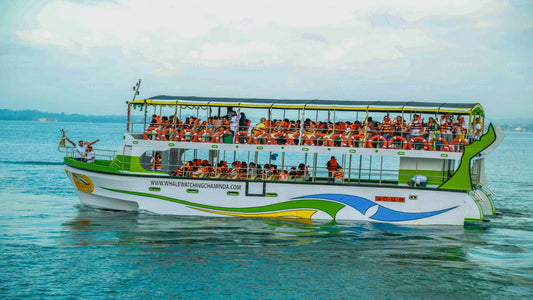 Hvalsafari bådtur i Mirissa