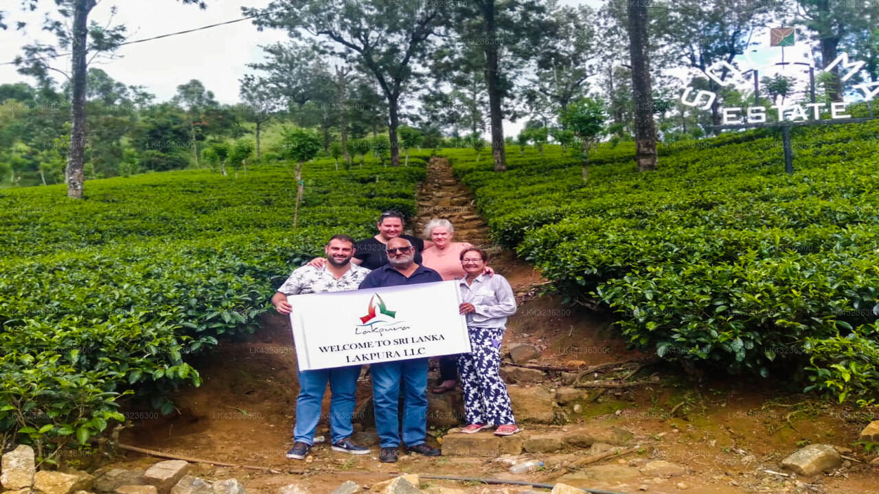 Transfer between Colombo Airport (CMB) and Villa Tea Fields, Nuwara Eliya